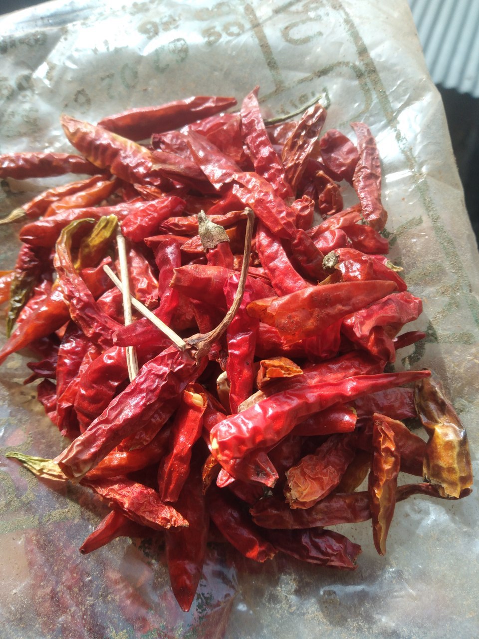 የሀረር ሚጥሚጣ